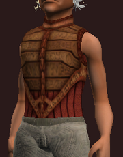 Sacrosanct Tunic of the Forest Scion (Equipped)
