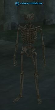 A risen brittlebone