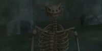 A risen brittlebone