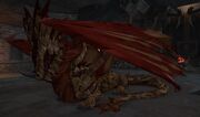 Lord Zyfl Sleeping