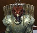 Tarcha Niba'dn