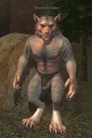 Moonshredder