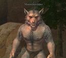 Moonshredder