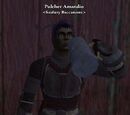 Pulcher Amandio