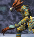 Race di'zok.jpg