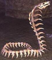 Cobra skeleton