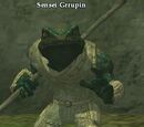 Sensei Grrupin (Hidden VoK)