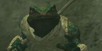 Sensei Grrupin (Hidden VoK)