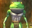 A froglok captive