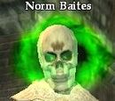 Norm Baites