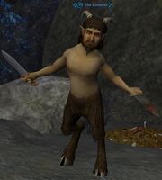 The Grender