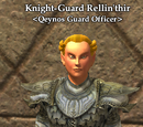 Knight-Guard Rellin`thir