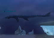 A krait patriarch