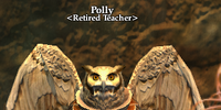 Polly