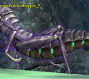 An umbral leafhopper