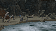 Nipik's Haven