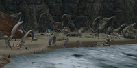 Nipik's Haven