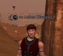 An Ashen Disciple