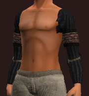 Ravens of the North negotiator sleeves (Equipped)