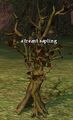 A treant sapling.jpg