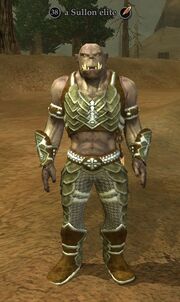 A Sullon elite