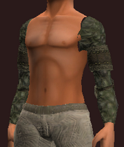 Tanned Leather Shoulder Pads (Equipped)