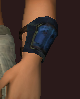 Arctic Frostwind Champion's Wristguard (Equipped).png