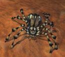 A clay crawler