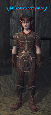 A Mistmoore guard