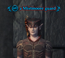 A Mistmoore guard