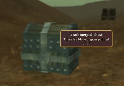 A Submerged Chest