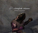 A froglok citizen