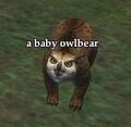 Pet baby owlbear.jpg