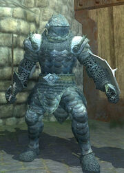 Carbonite Vanguard Armor, Equipped