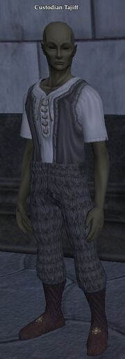 Custodian Tajiff