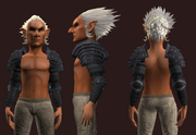 Archon's Pauldrons of the Citadel (Equipped)