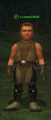 A crazed thief