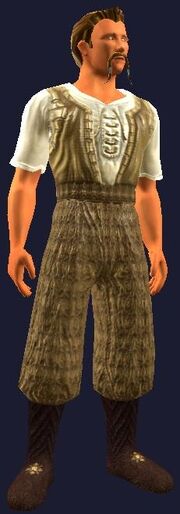 Opulent male gold (set)