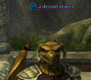 A devout reaver