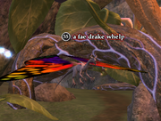 A fae drake whelp