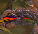 A fae drake whelp