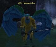 A Haoaeran fisher