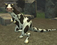 Bristlebanes beloved creature