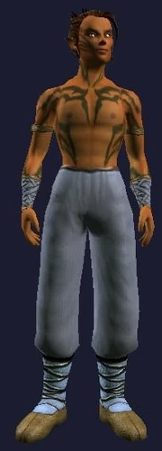 Pristine Hidebound Leather Gi (Visible, Male)