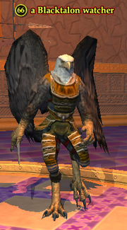 A Blacktalon watcher (solo)