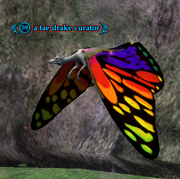 A fae drake curator