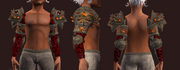 Pauldrons of the Last Rite (Equipped)