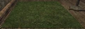 Grassy Square (Visible).jpg
