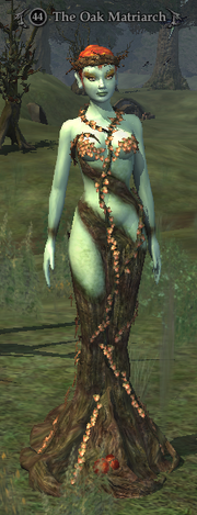 The Oak Matriarch
