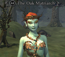 The Oak Matriarch